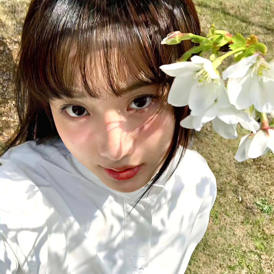 巅峰拍档第十九季